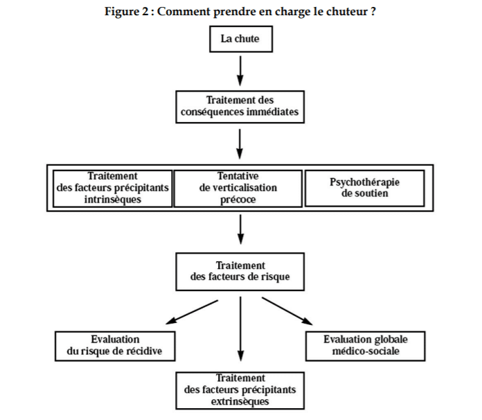 La prise en charge des chuteurs jusqu'au traitement